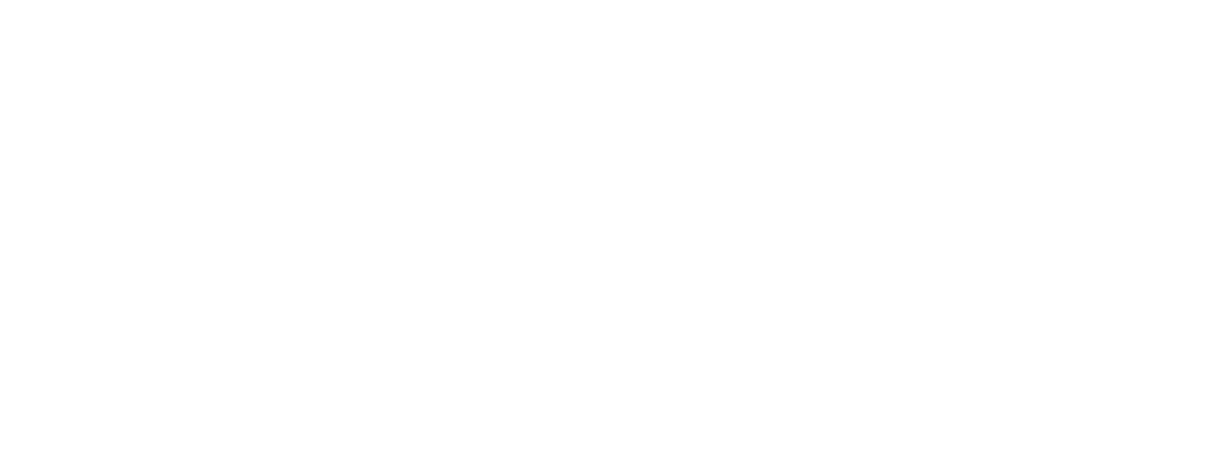 Carbon Investment Partners